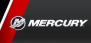 Service Mercury